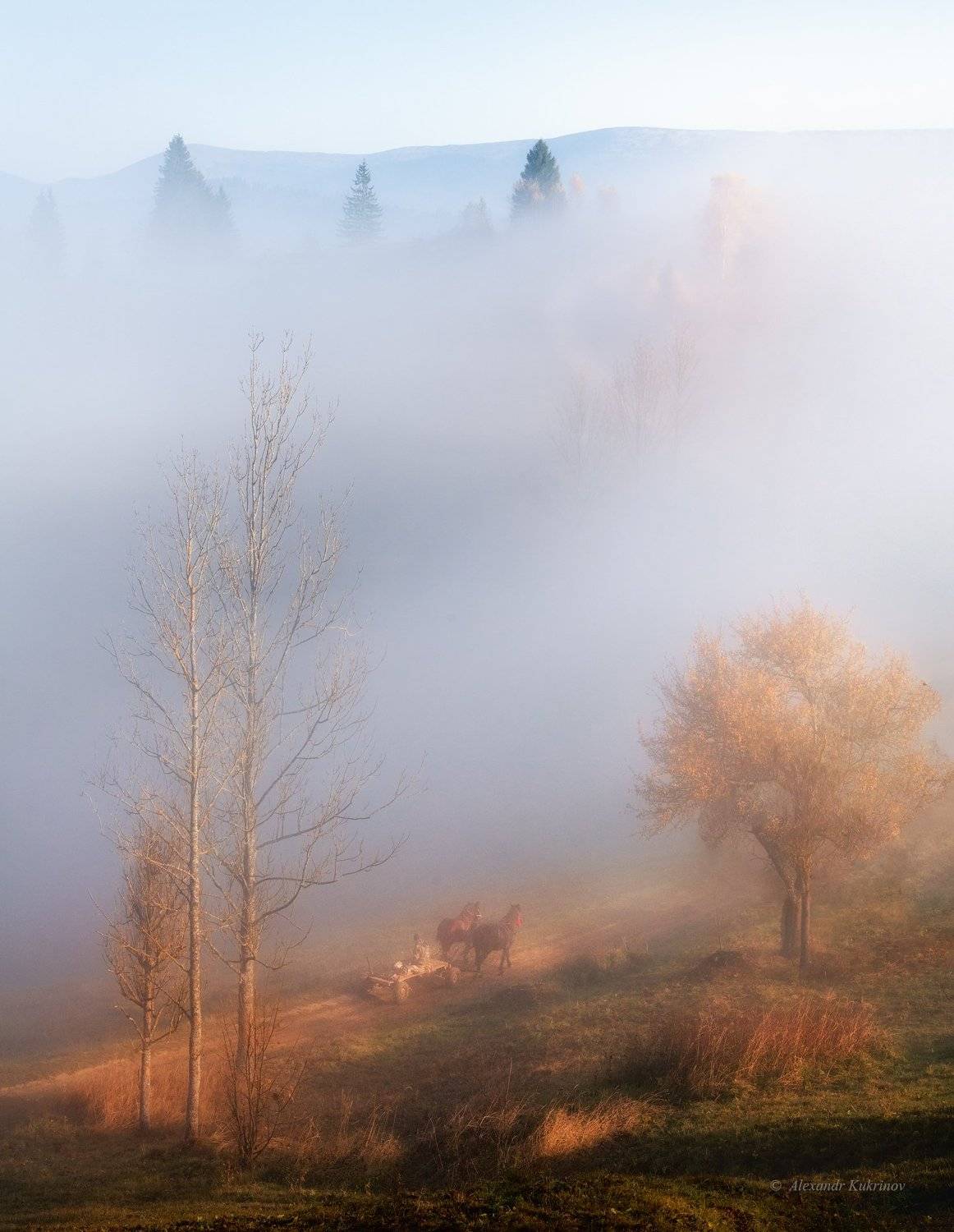 карпаты,осень,пейзаж,туман,утро,рассвет, Александр Кукринов