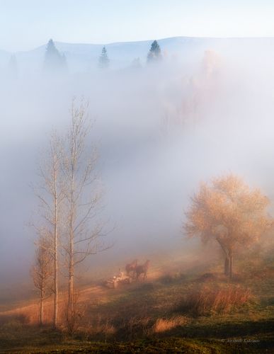 Карпатские сказки...