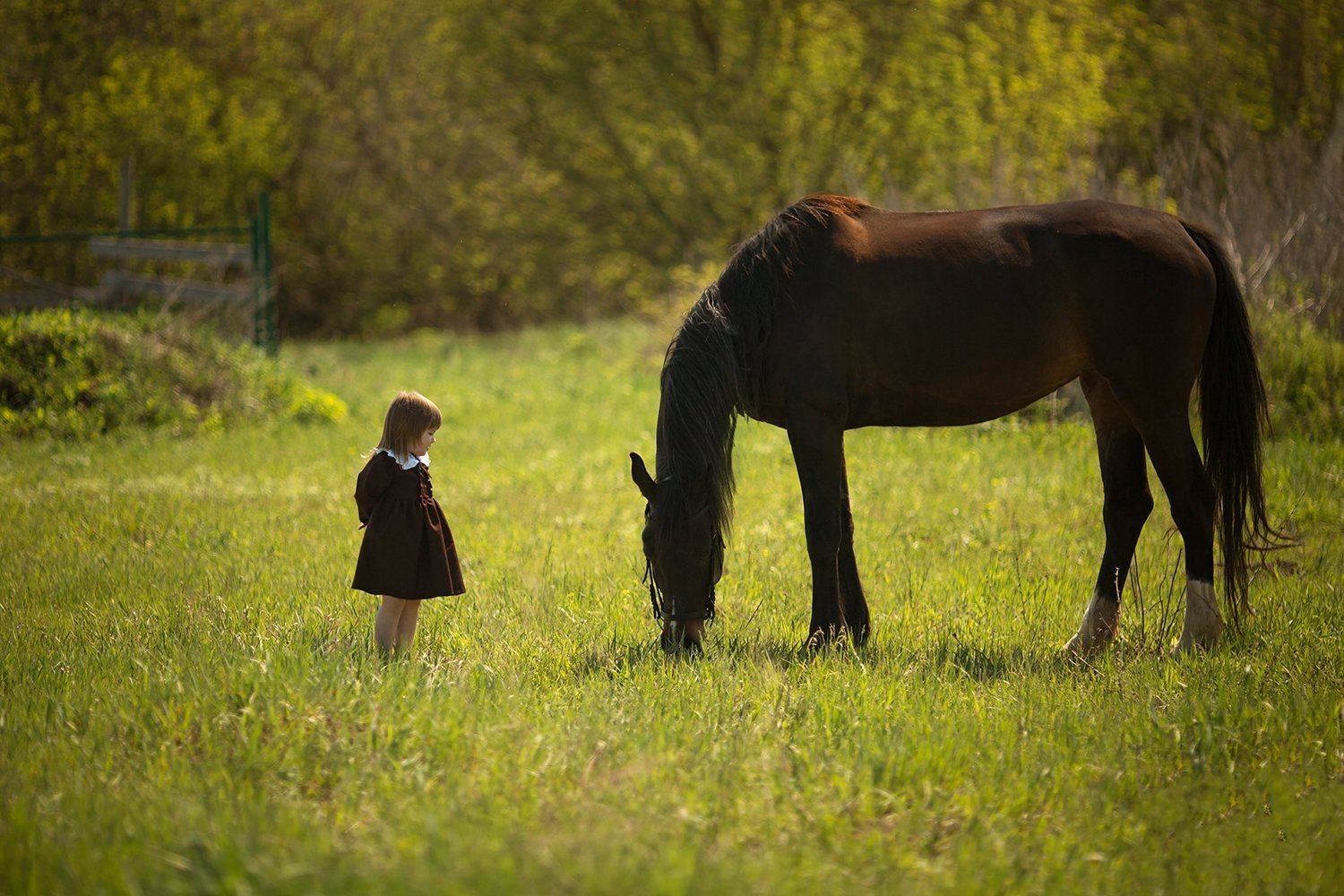 портрет, детский фотограф, портретист, девочка, весна,  природа, Мороз Валерия, топ фотограф, обучение фото, обучение ретуши, конюшня, конь, лошади, , Валерия Мороз