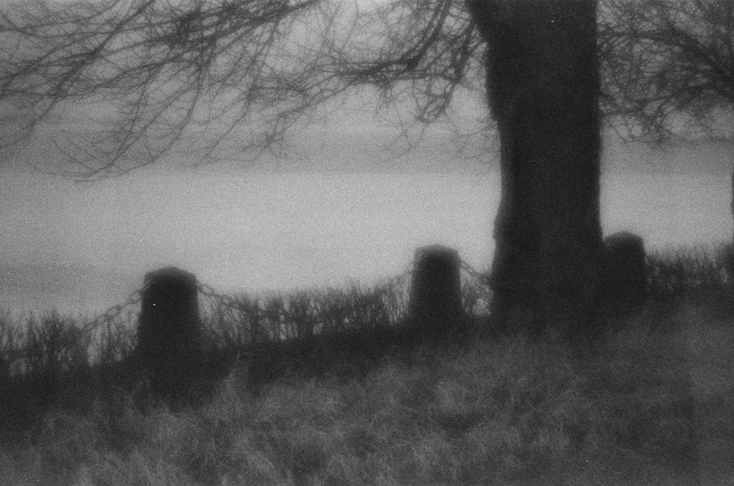 , Иван Домарацкий