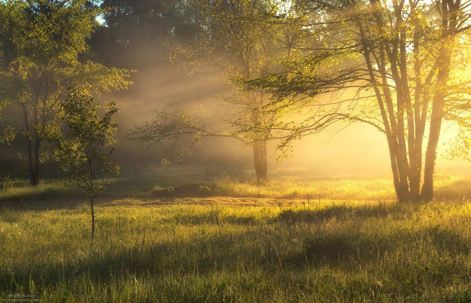 солнце, россия, рассвет, природа, подмосковье, погода, пейзажи, пейзаж, отражение, наукоград, красота, дубна, вода, весна, weather, water, spring, russia, reflection, naukograd, nature, moscow, landscape, dawn, canon, dubna, beauty, Андрей Олонцев