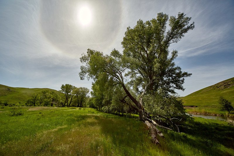 южный урал,оренбургская область, орск, новотроицк, Гало фото превью