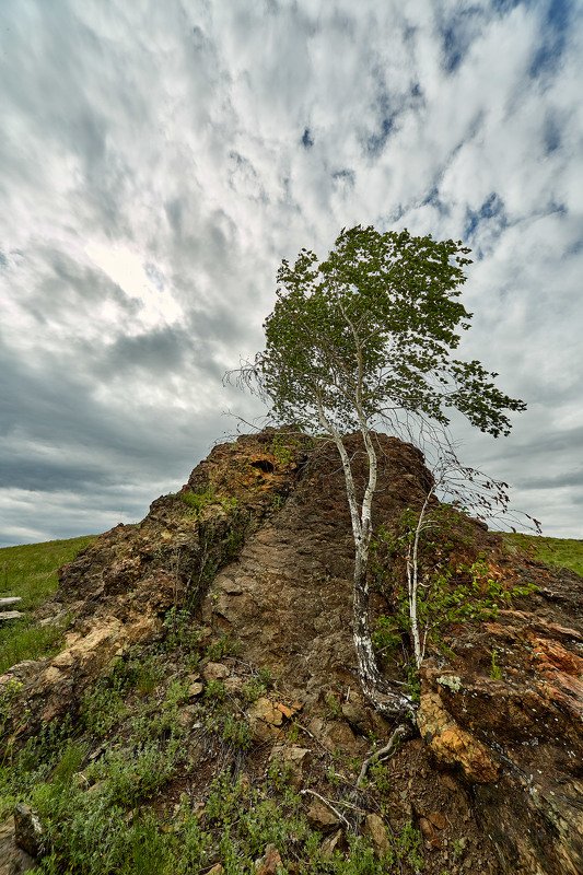 южный урал,оренбургская область, орск, новотроицк, На ветру и на камнях.. фото превью