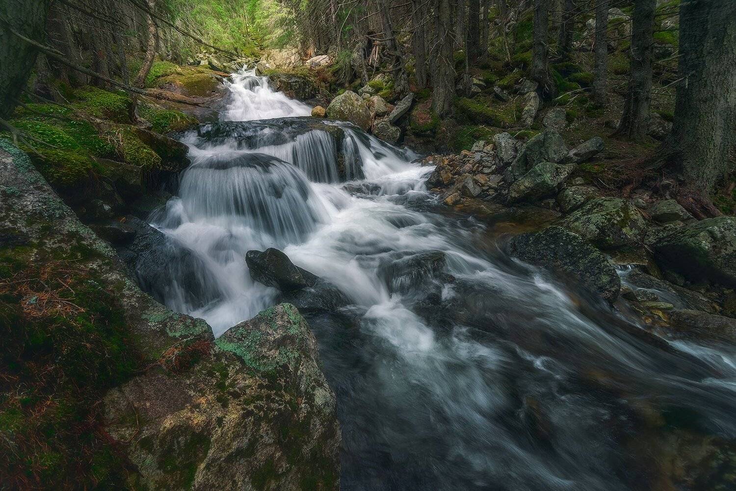 retezat, retezatnationalpark, romania, landscape, Csomai David