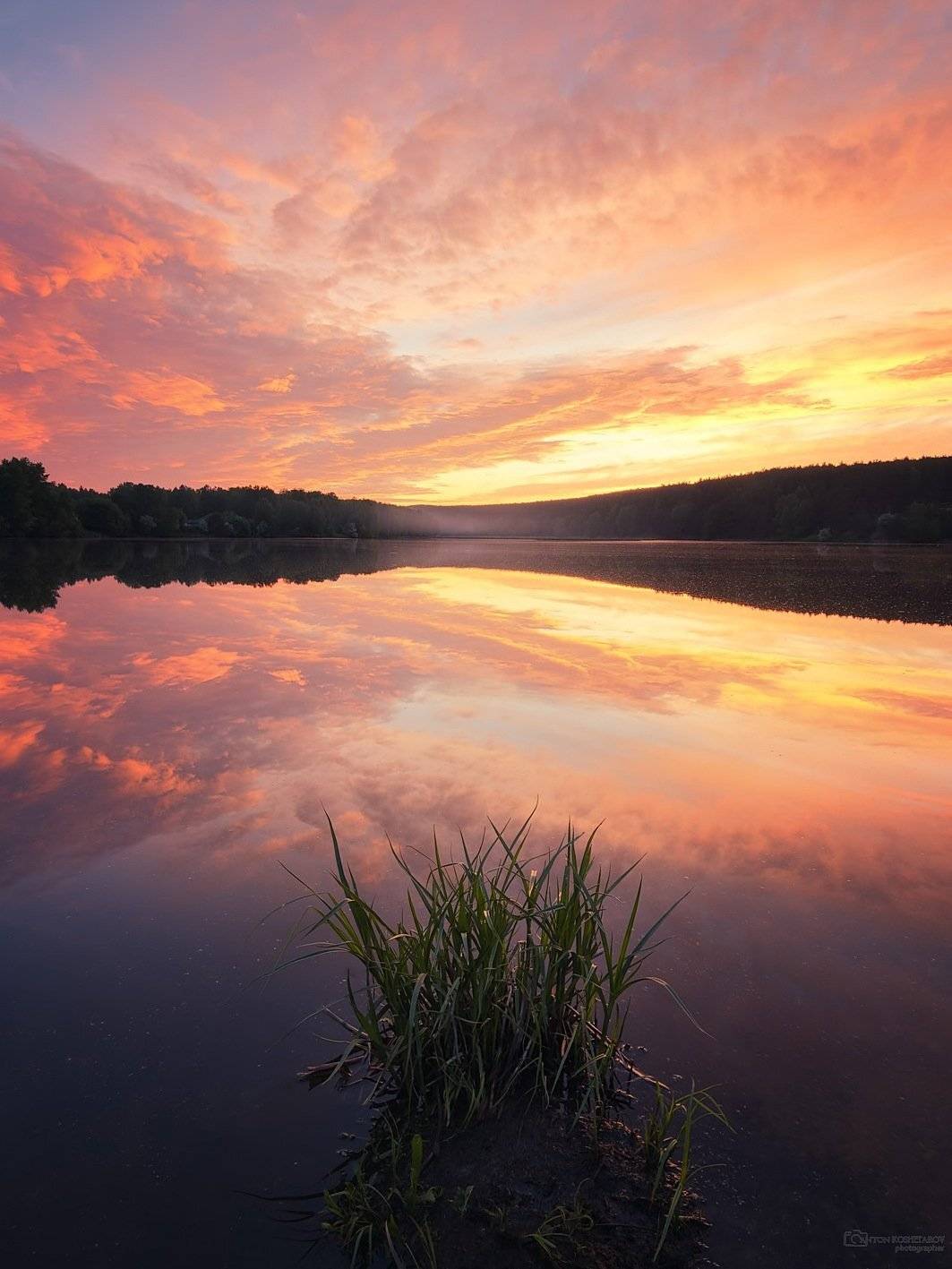 , Антон Кошетаров