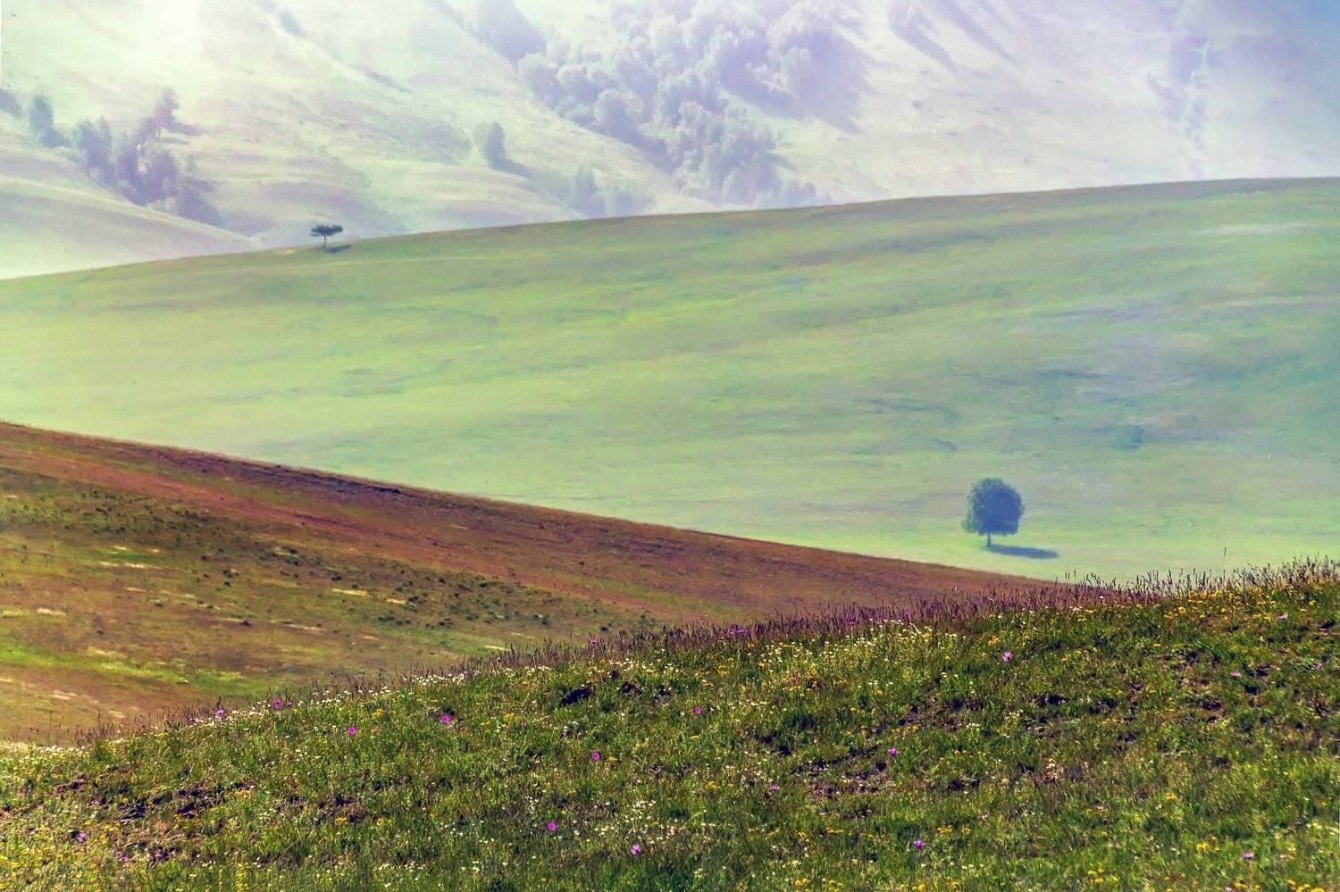 , Леонид Максименко