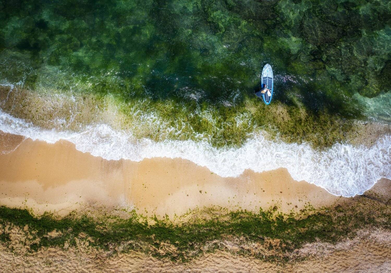 , Григорий Крамаренко
