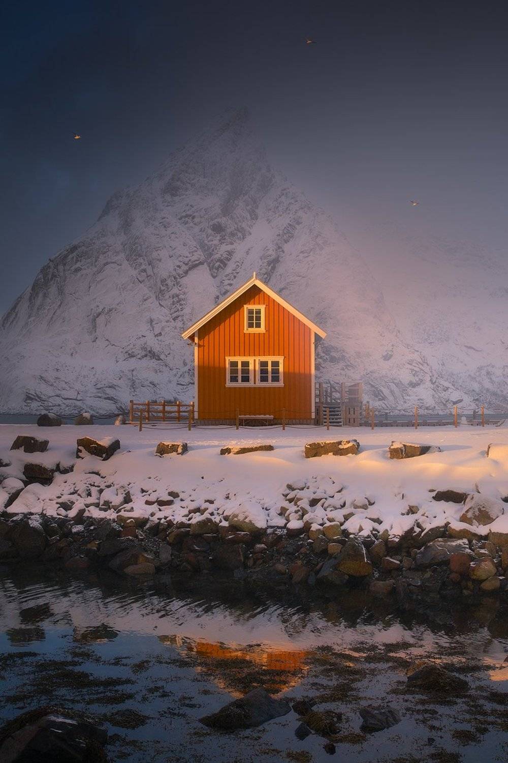 sakrisoy lofoten norway winter house birds storm light sun mountain , Roberto Pavic