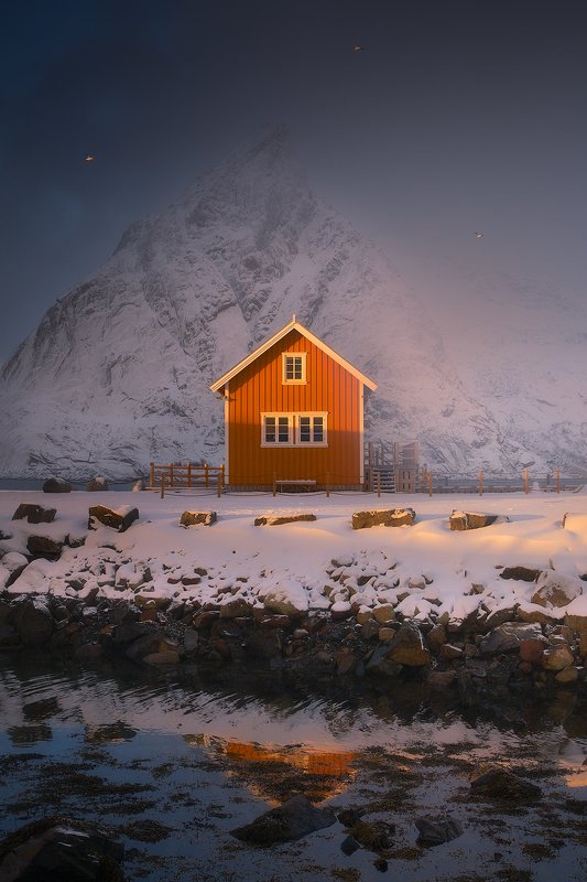 sakrisoy lofoten norway winter house birds storm light sun mountain  sakrisoy фото превью