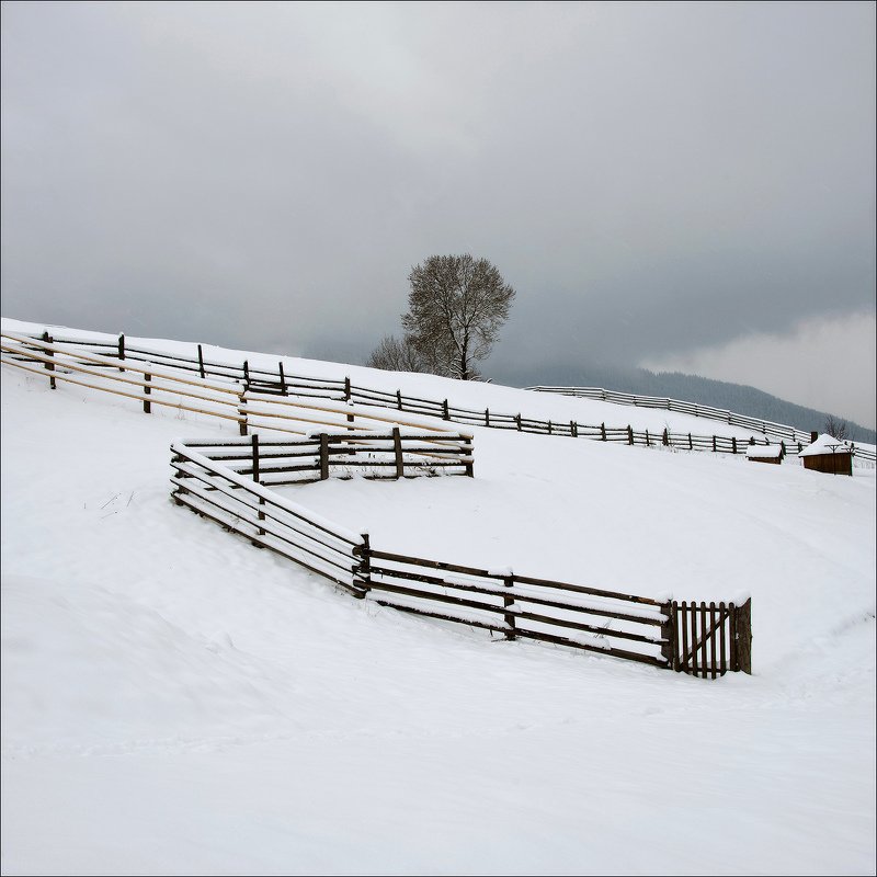 карпаты, зима  фото превью