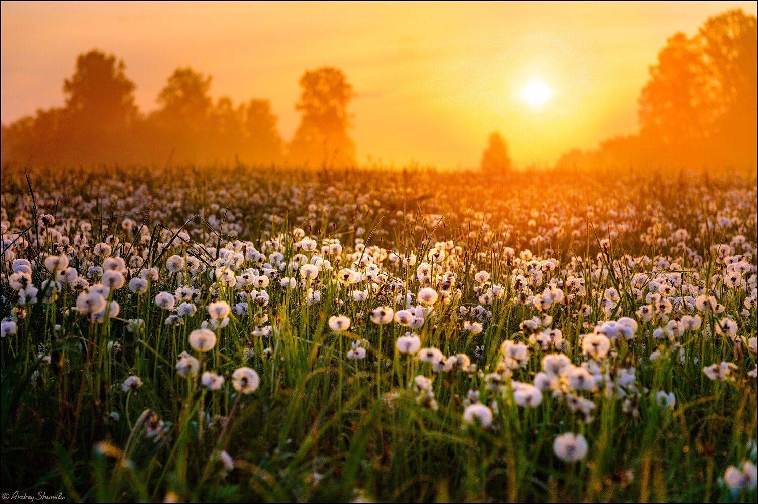 , Андрей Шумилин