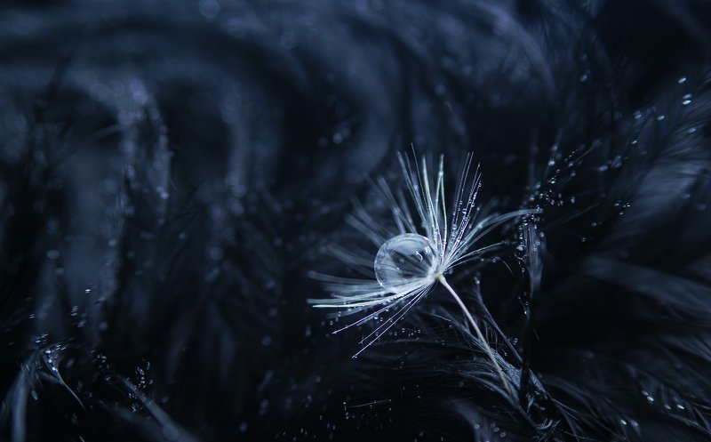 \\\\\\/// фото превью