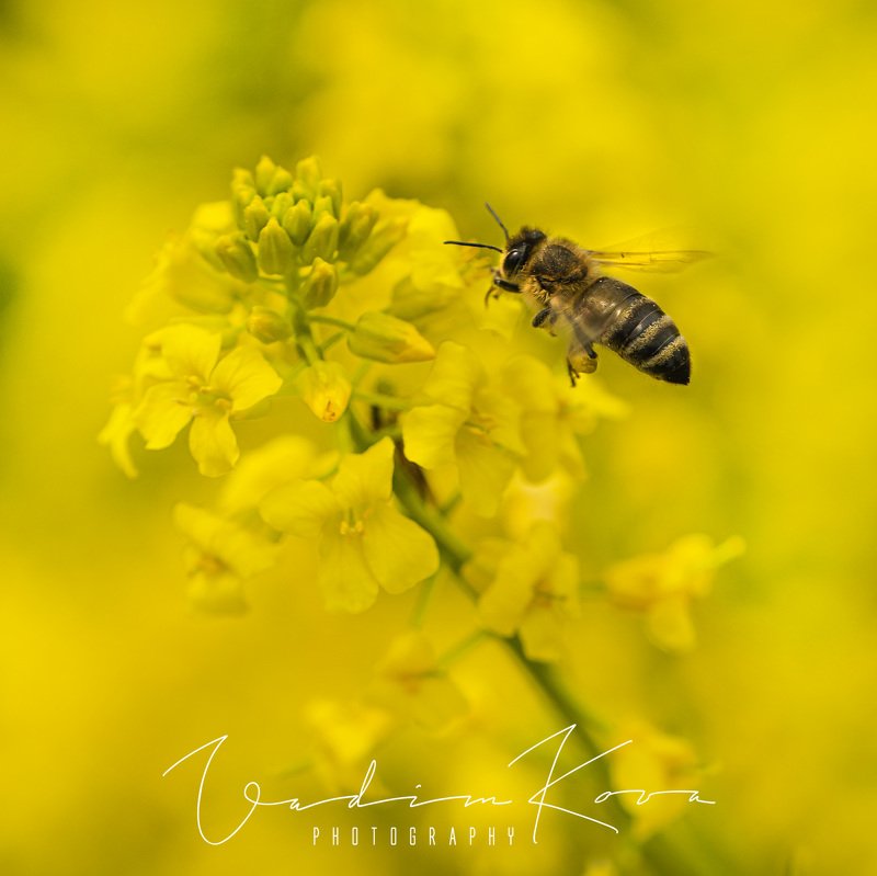 Майский трудодень фото превью