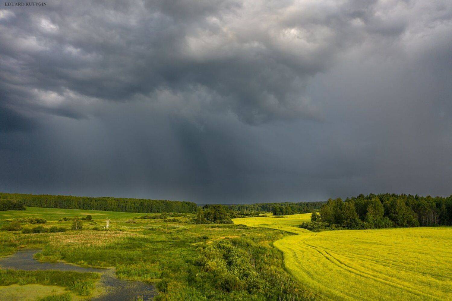 рапс, Кутыгин Эдуард