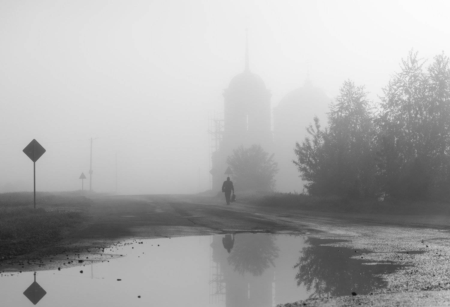 , Дмитрий Новоселов