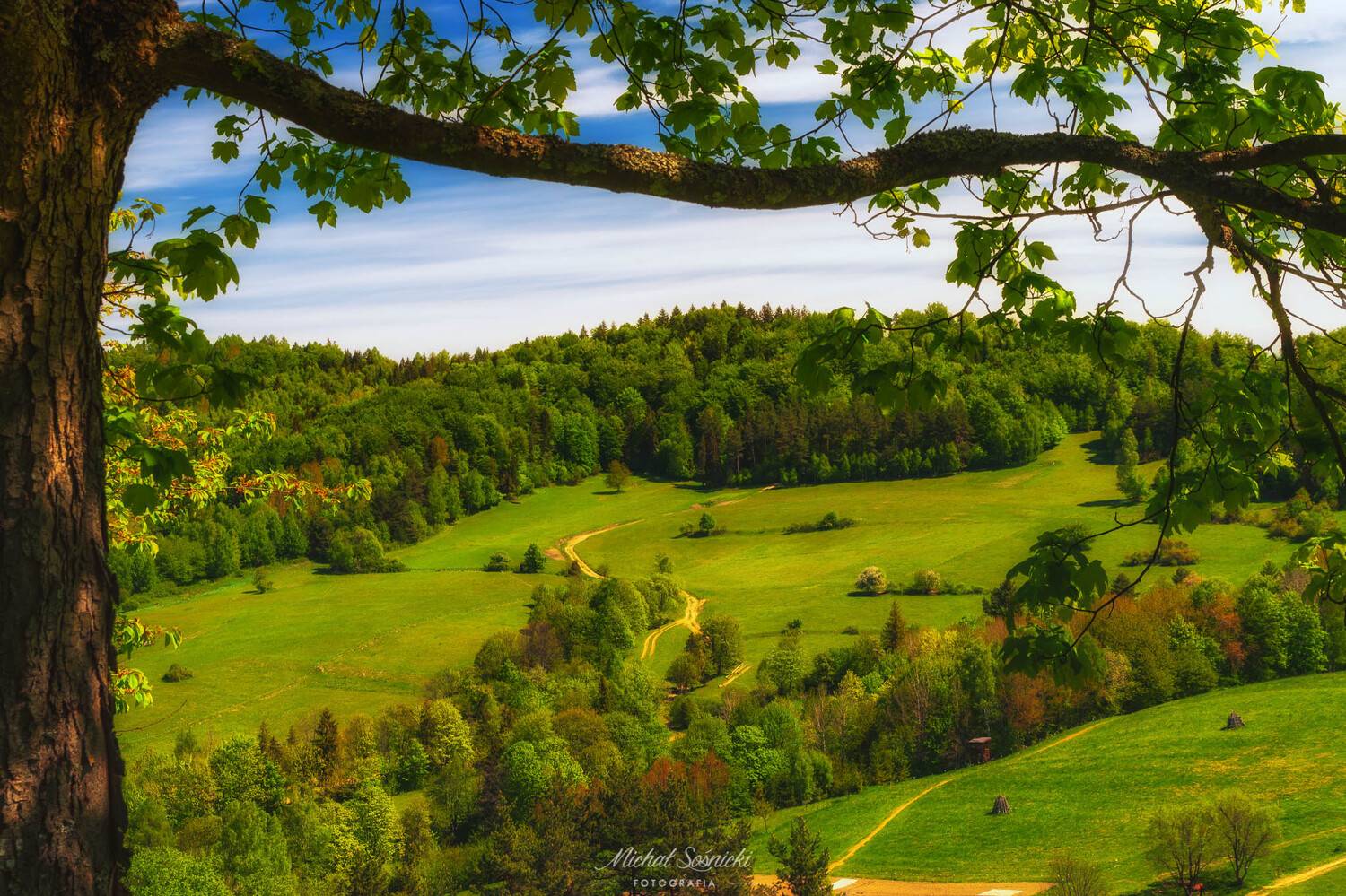 #frame #spring #morning #wojkowa #color #mountains #tree #sky #landscape #pentax #benro, Michał Sośnicki