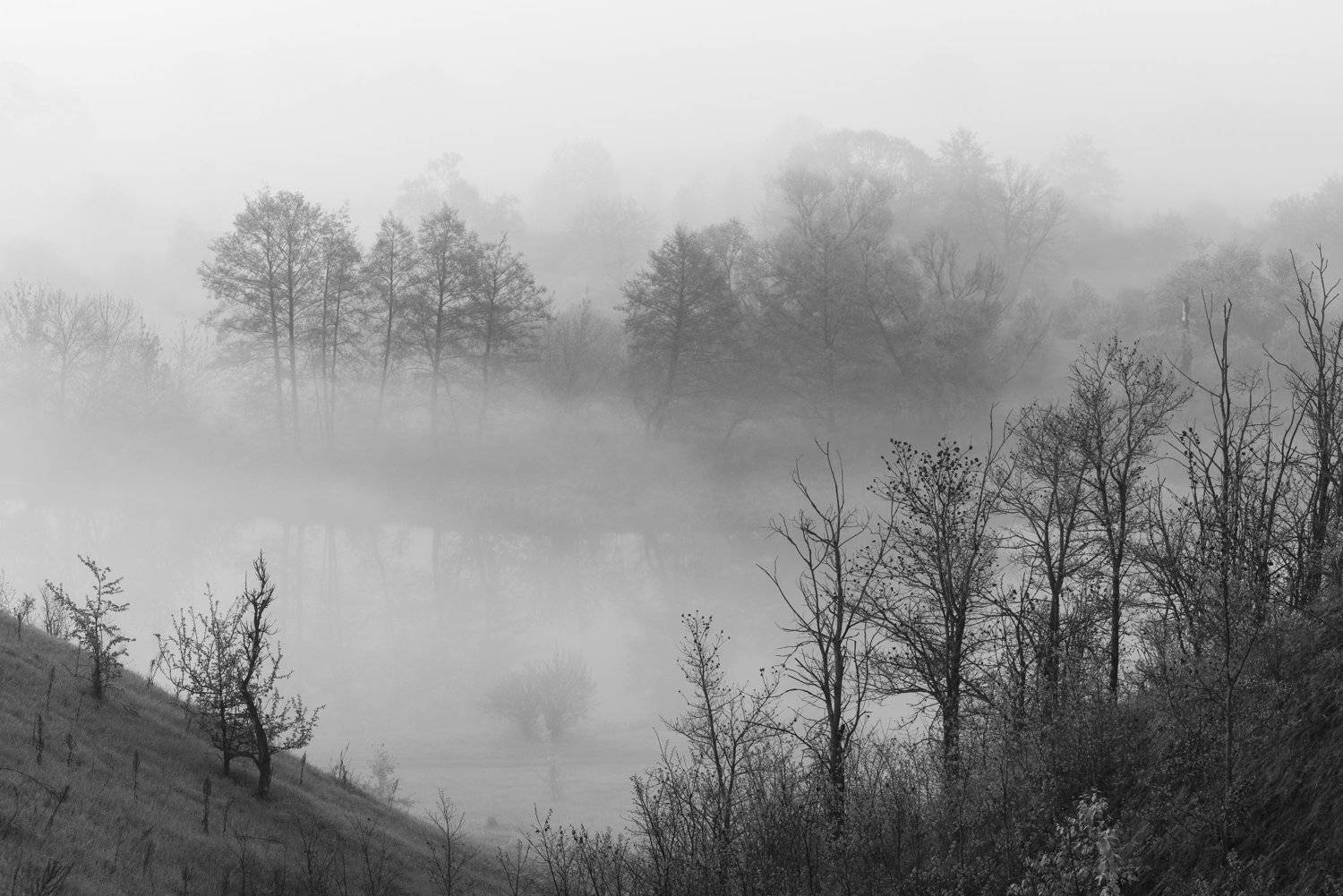 , Дмитрий Новоселов