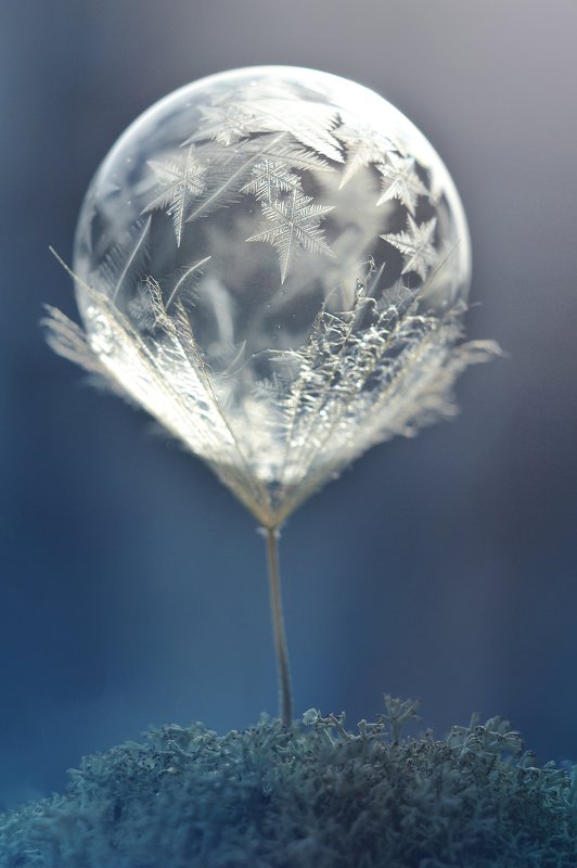 Фонарь эльфов фото превью