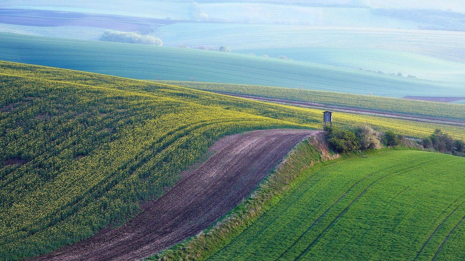 южная моравия, чехия, весна,  south moravia, czech, south moravian, Пётр Дедковский