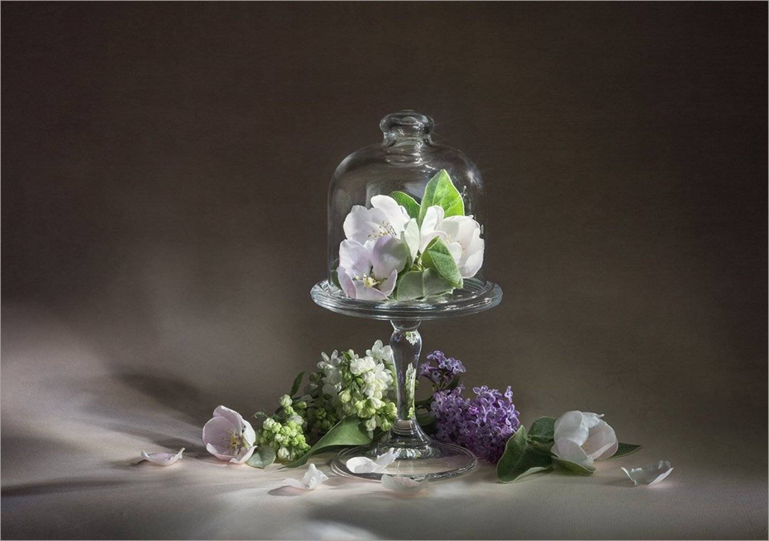 натюрморт, весенние цветы, айва и сирень, Якшина Валентина