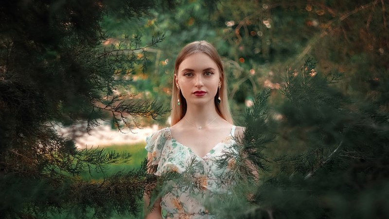 portret  фото превью