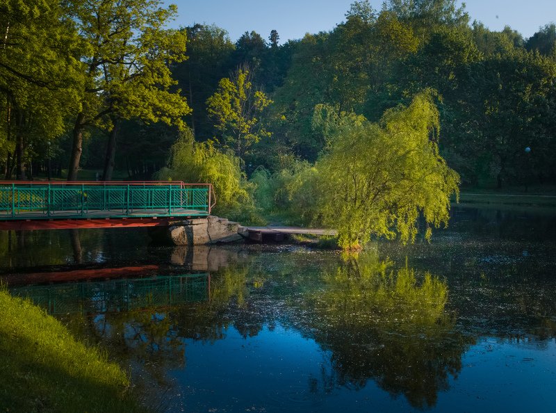 В мае фото превью