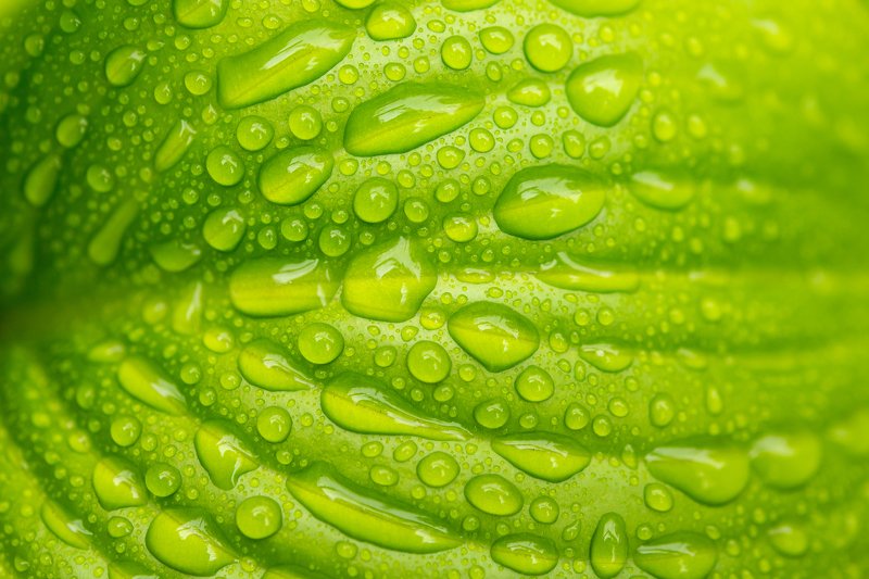 Water drops фото превью