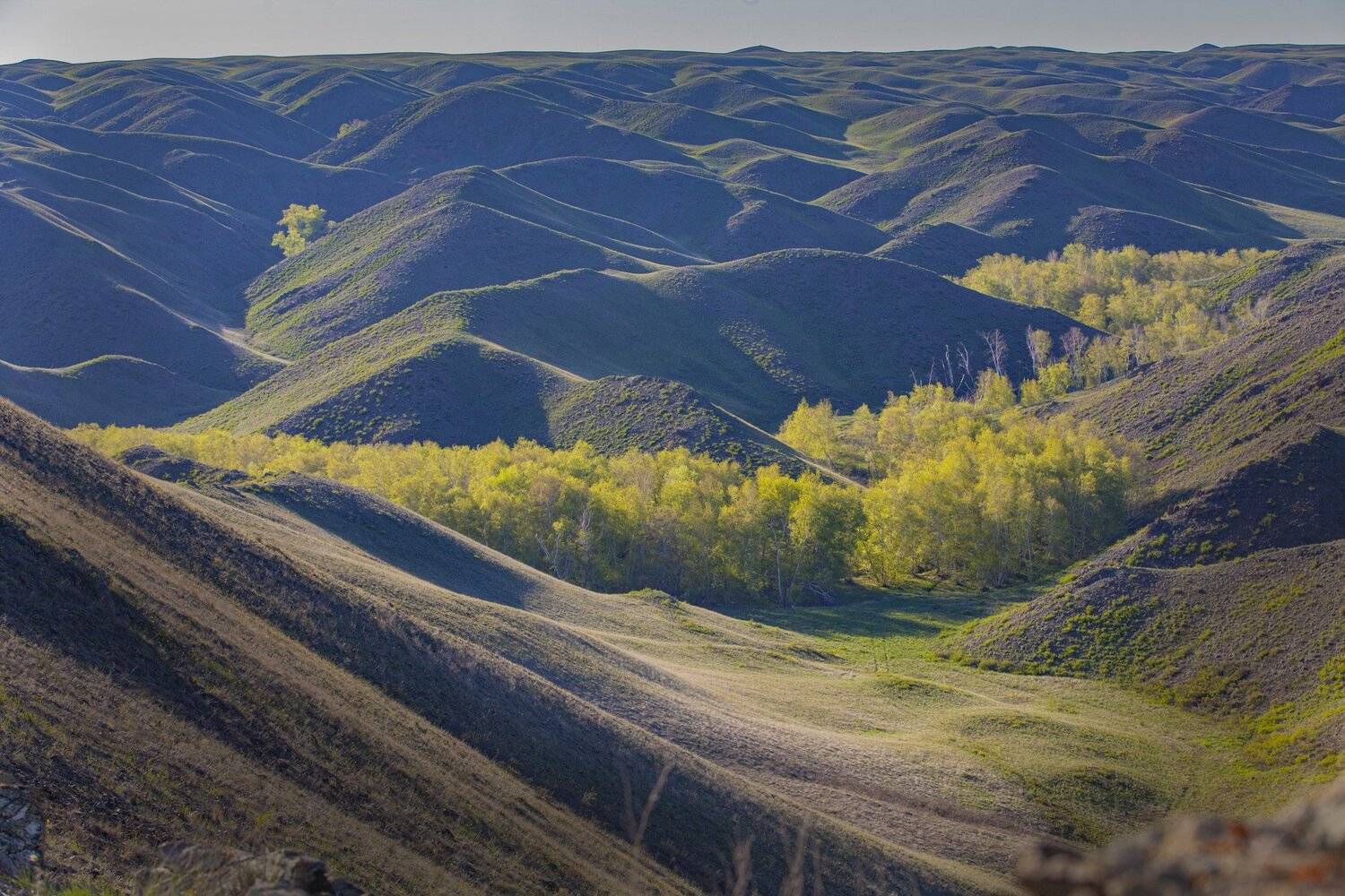 , петр чиков