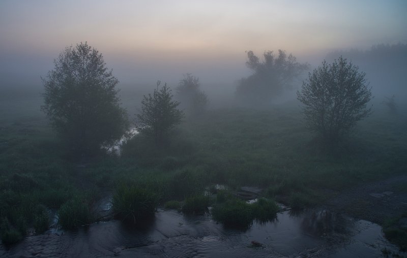 Весеннее утро фото превью