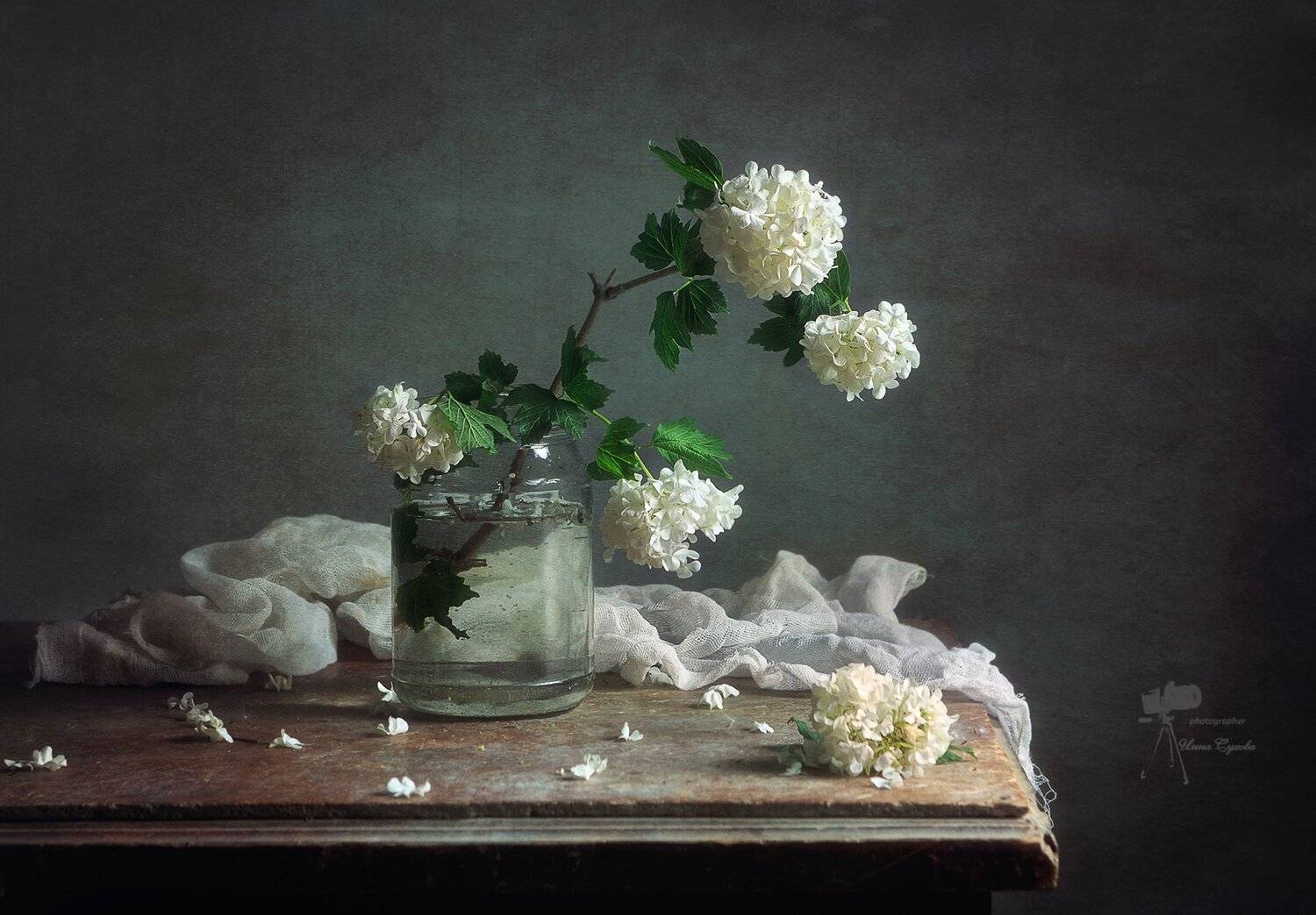 , Инна Сухова