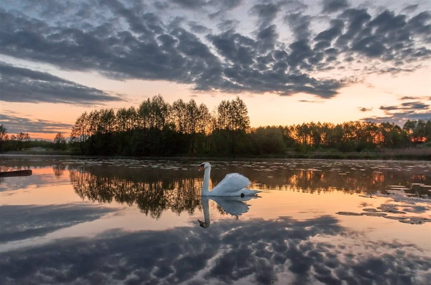 , Руслан Авдевич