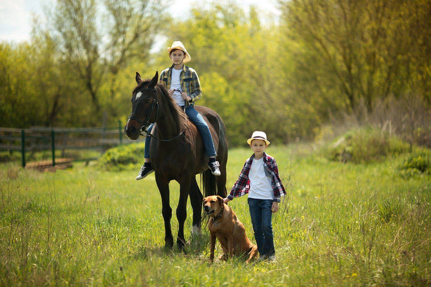 портрет, детский фотограф, портретист, мальчики, весна,  природа, Мороз Валерия, топ фотограф, обучение фото, обучение ретуши, конюшня, конь, лошади, собака, Валерия Мороз
