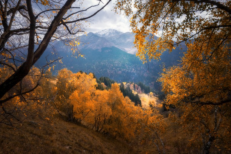 Краски осени фото превью