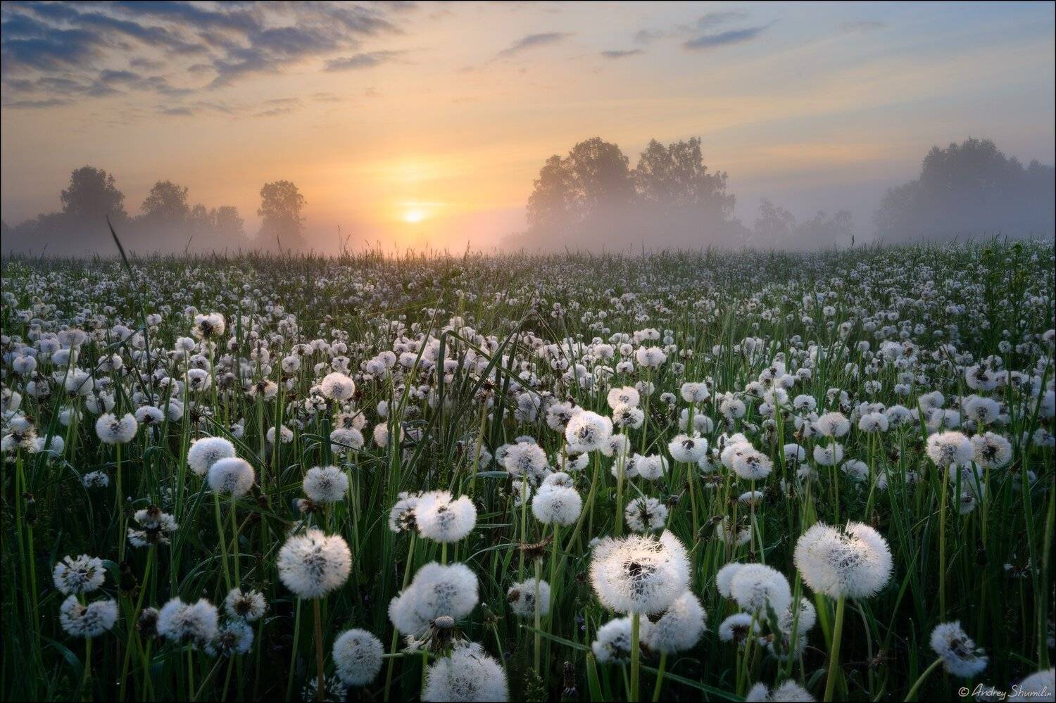 , Андрей Шумилин