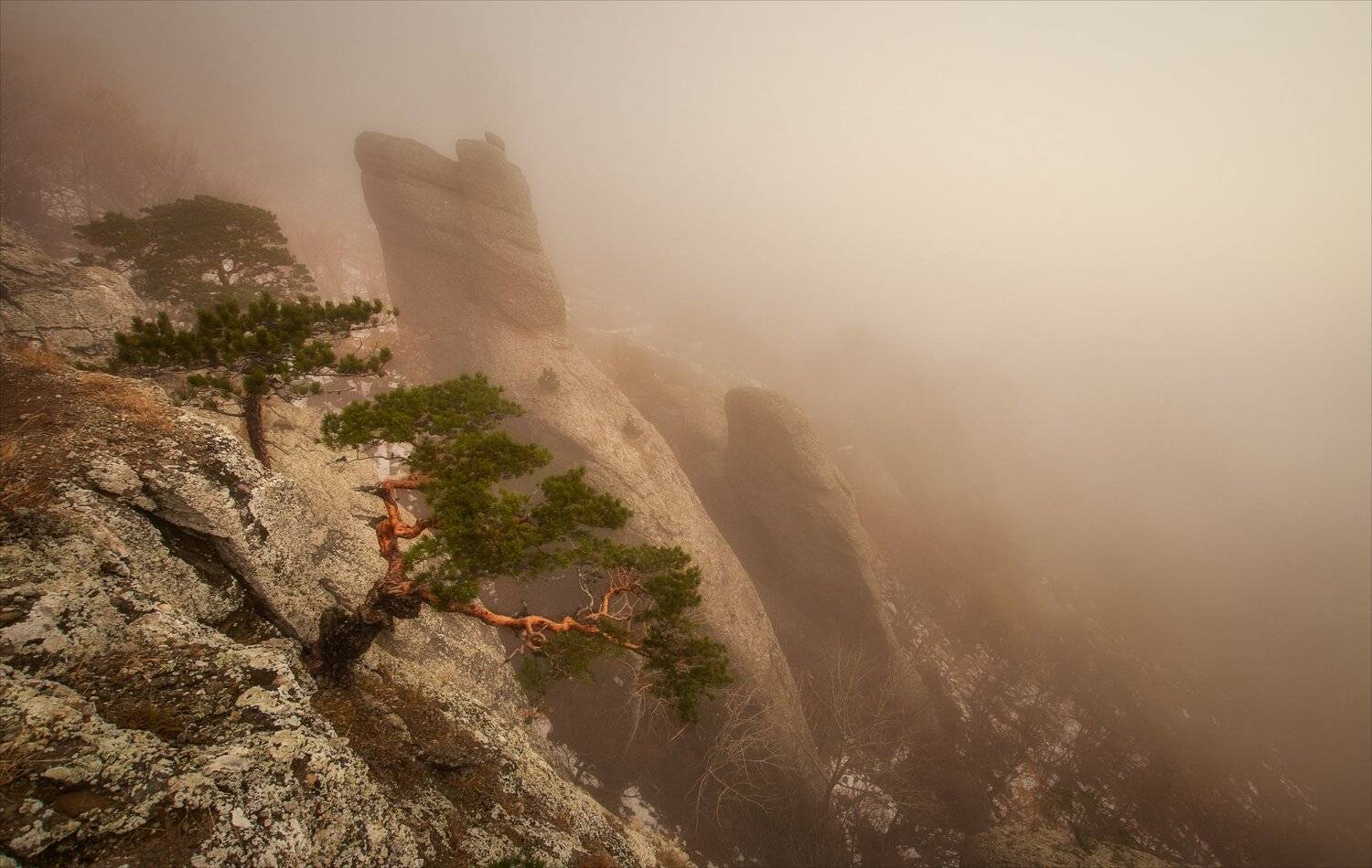 , Алексей Богорянов