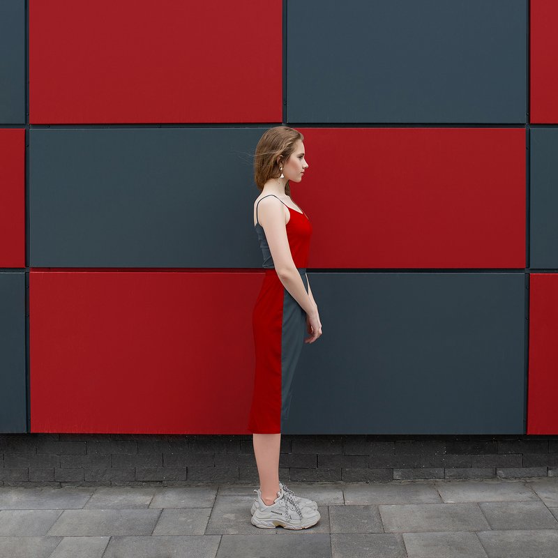 Хамелеон фото превью