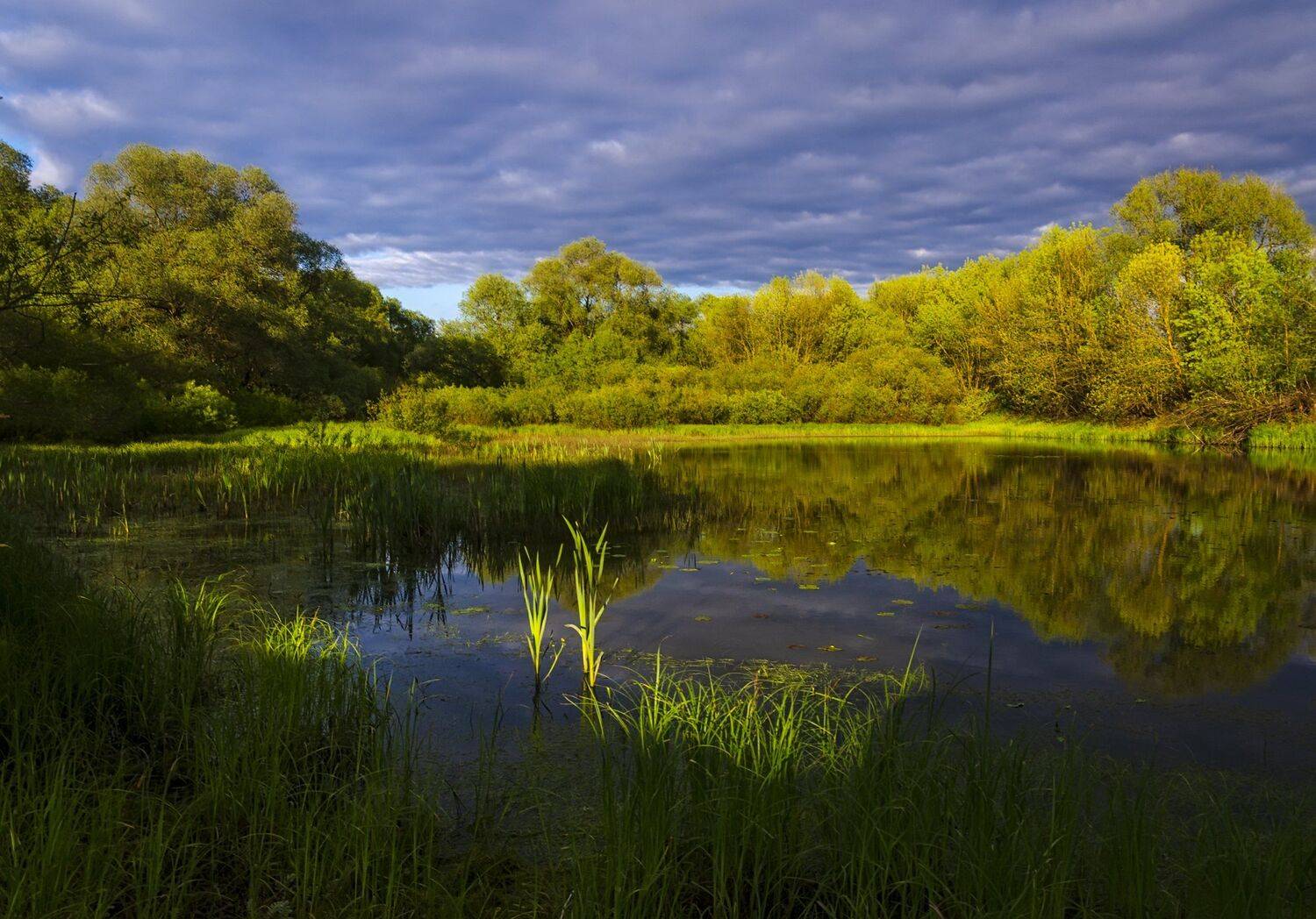 nevant60, пейзаж, красота, природа, Александр Березуцкий
