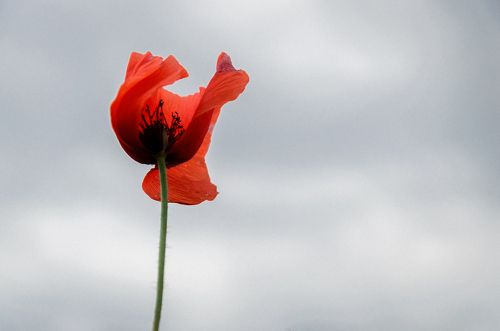 В мифическом жилище Гипноса.