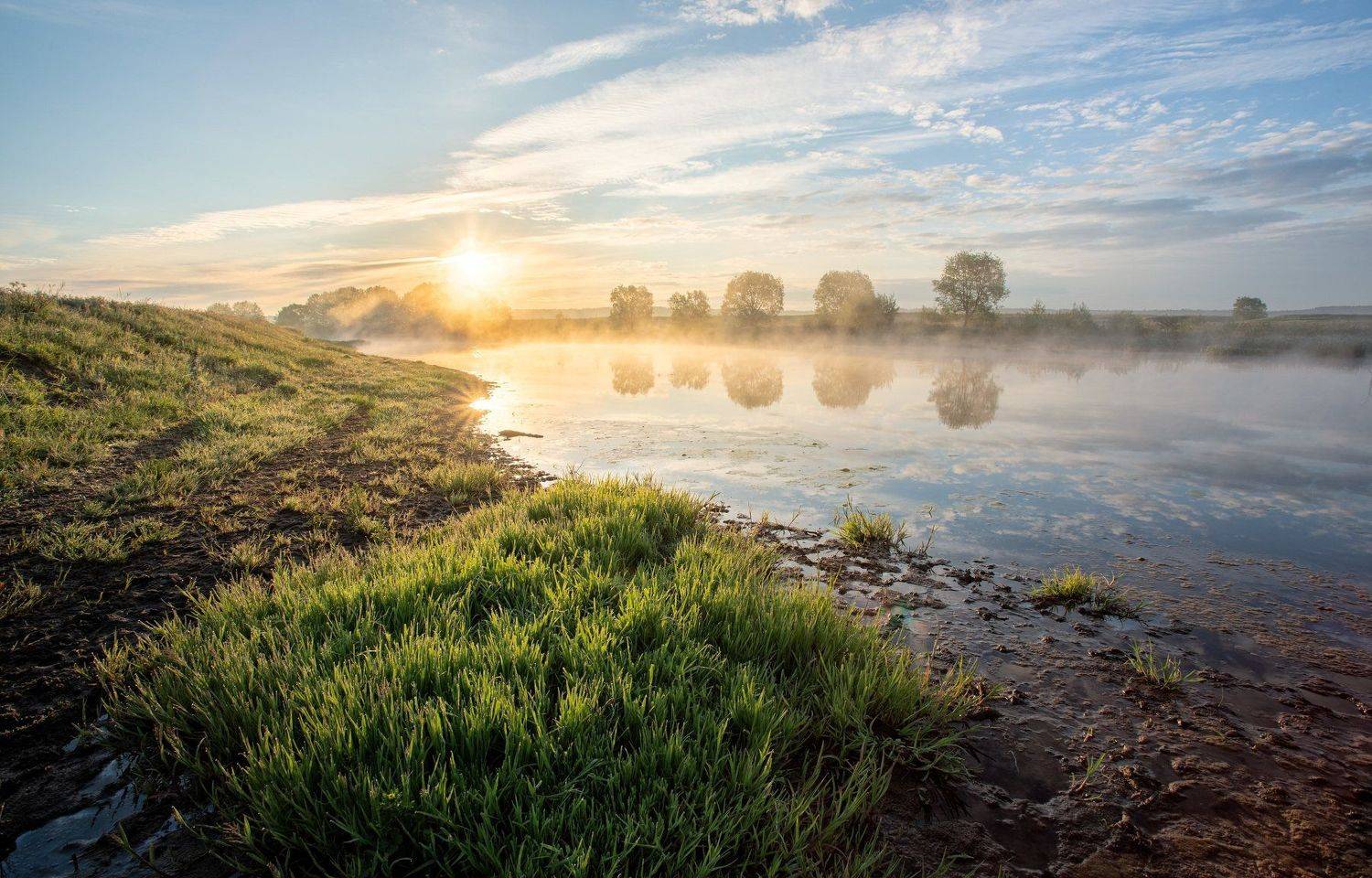 , Александр Бредихин