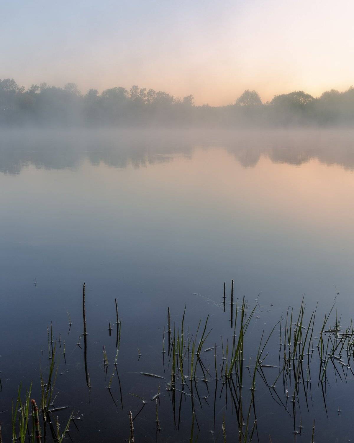 природа, пейзаж, минимализм, рассвет, туман, весна, озеро, Московская область, Мартыненко Дмитрий