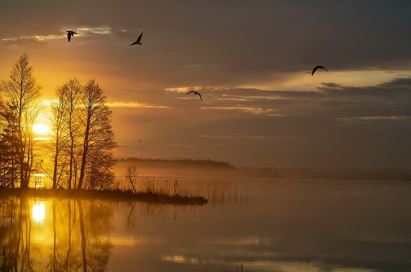 майский рассвет.. фото превью