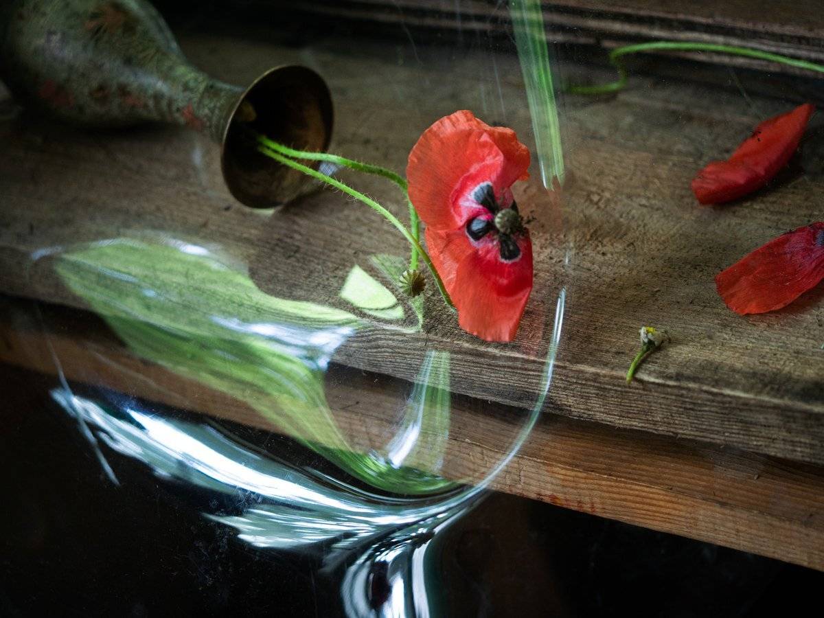 , Татьяна Аверина