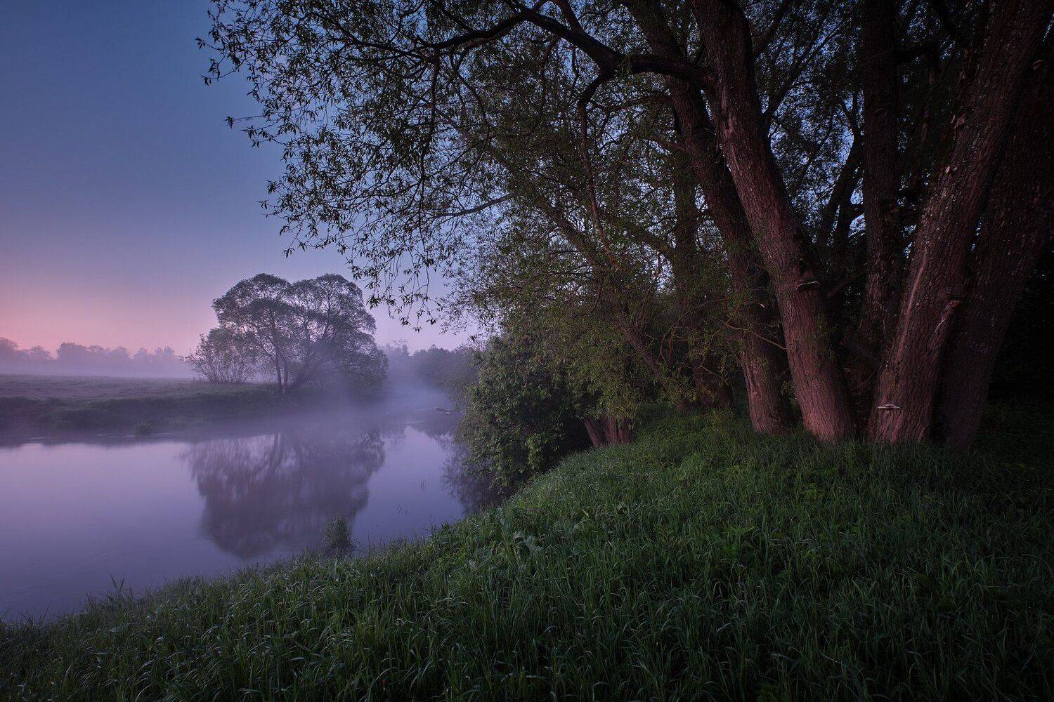 река, утро, туман, деревья, отражение, Григорий Бельцев