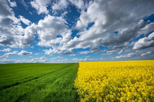 Countryside