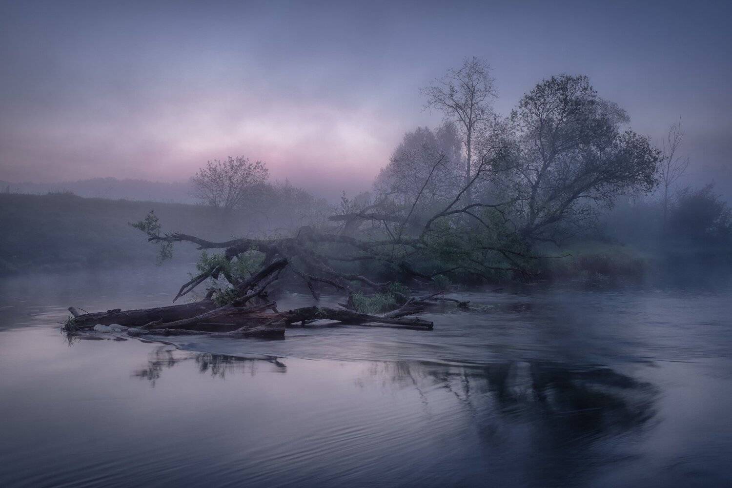 истра, река, утро, рассвет, бурелом, туман, заря, Андрей Чиж