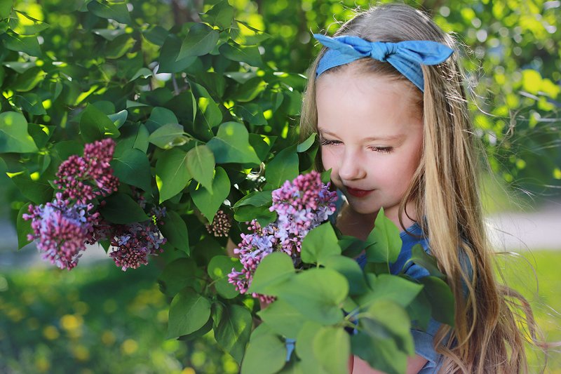 дети портрет весна2020 девочка нежность Нежность фото превью