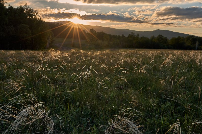 южный урал,оренбургская область, орск, новотроицк,башкирия, башкиртостан Ковыль фото превью
