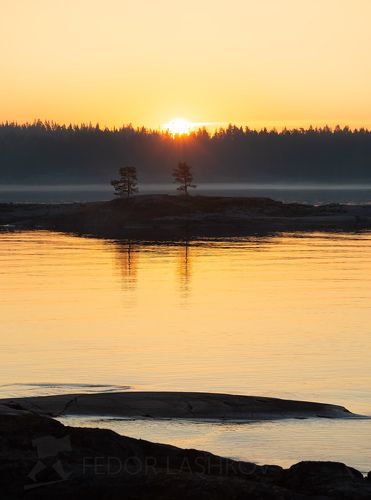 Две сосны на гранитном острове