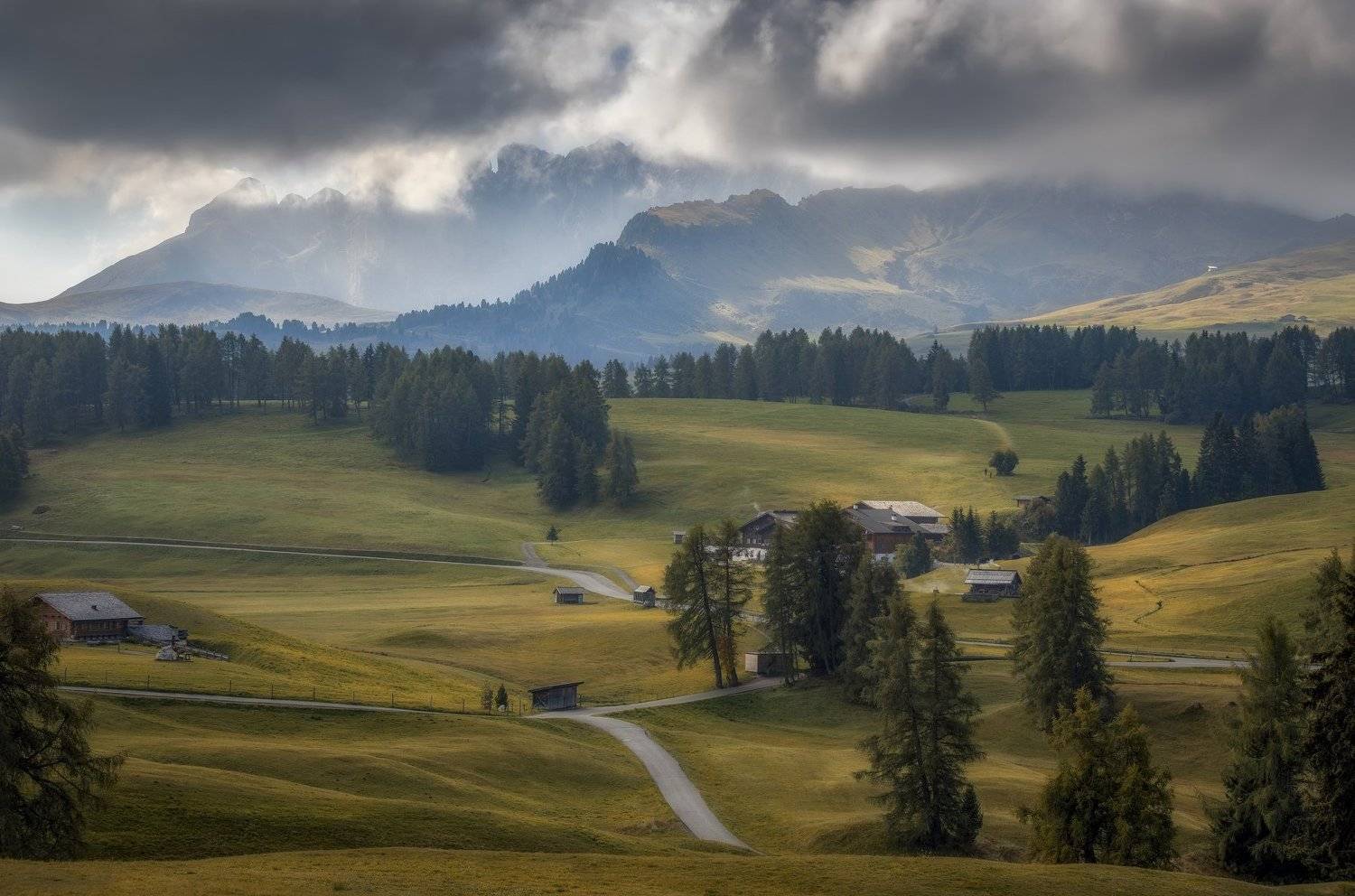 поля, горы, Александр Безмолитвенный