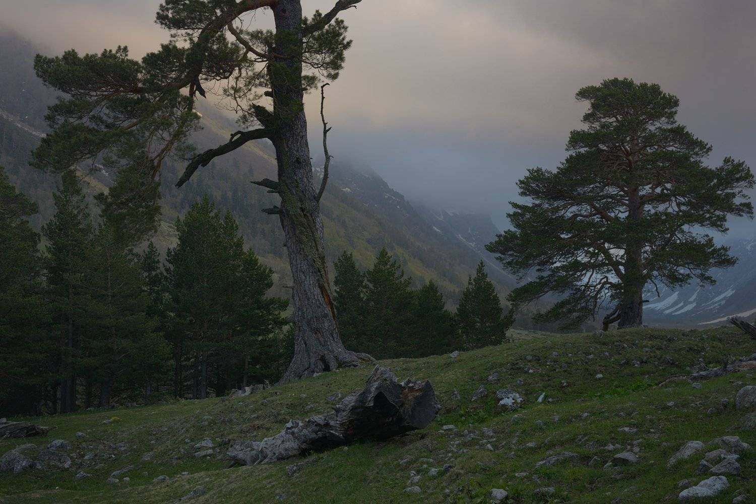 , Александр Жарников